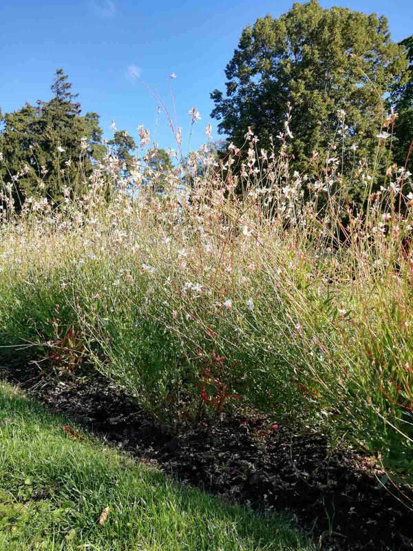 зображення_viber_2021-09-25_20-07-00-812