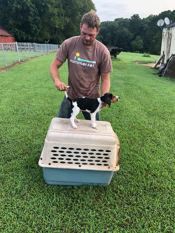 received_1897017820604429