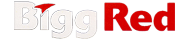 Rotes Brigg-Logo