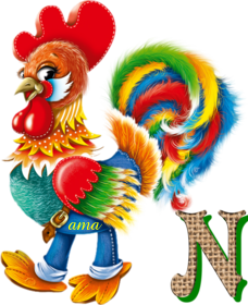 ¡¡¡  Velay   !!!   que Gallo  N