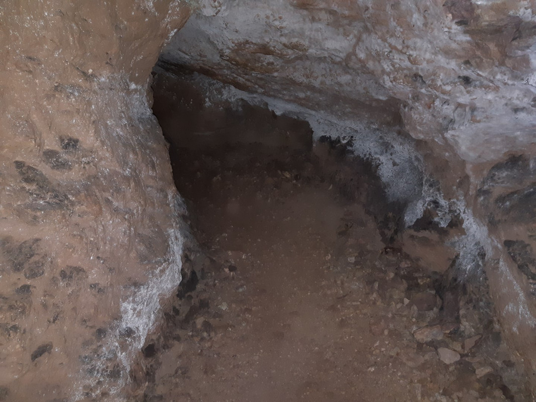 10.18 - 20200613_105429 (PiTT)