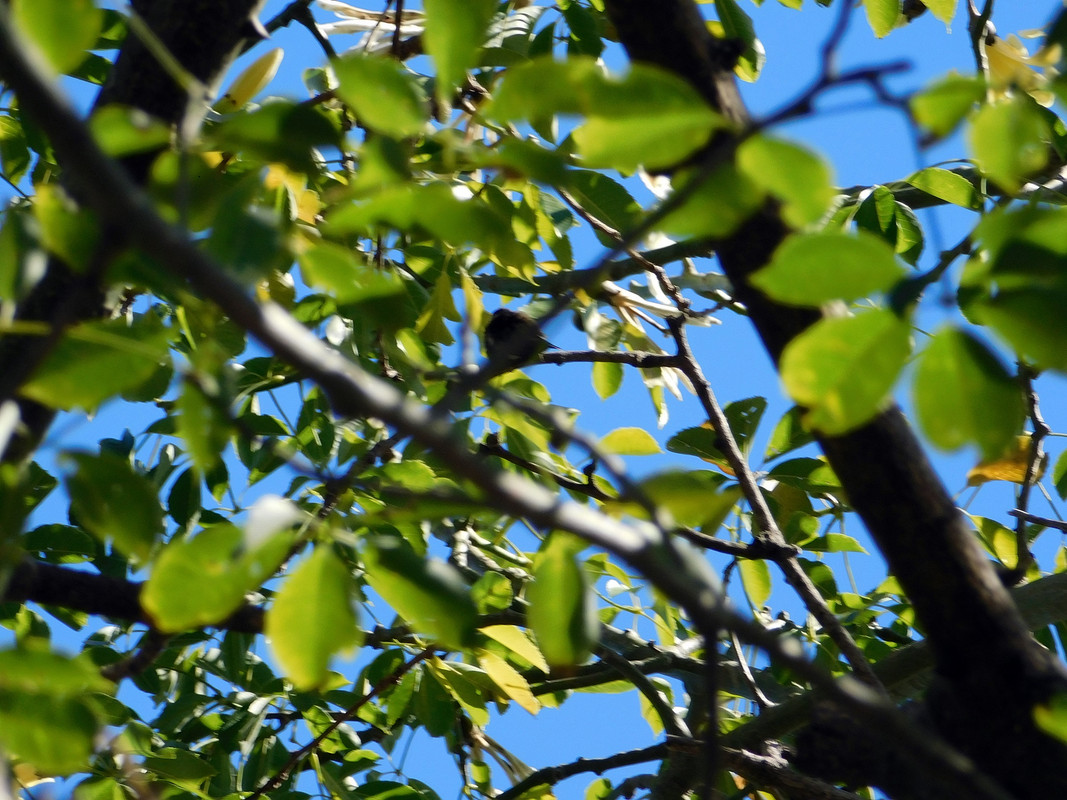 DSCN0092.jpg