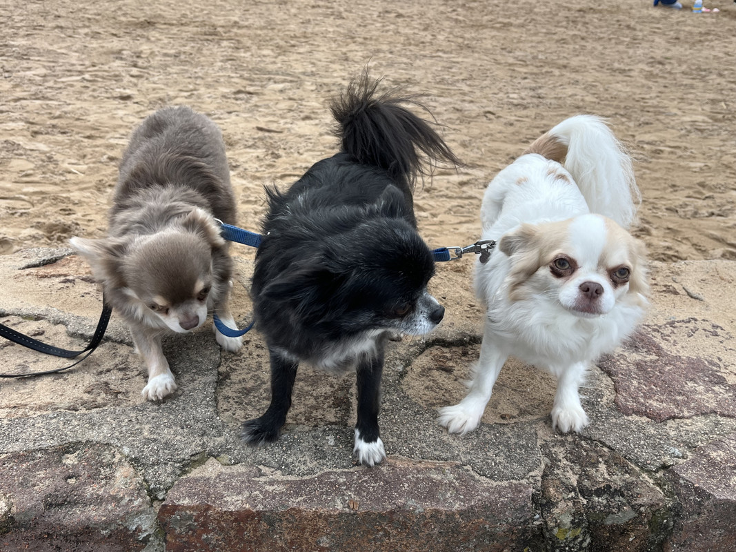 [Image: IMG-2806.jpg]