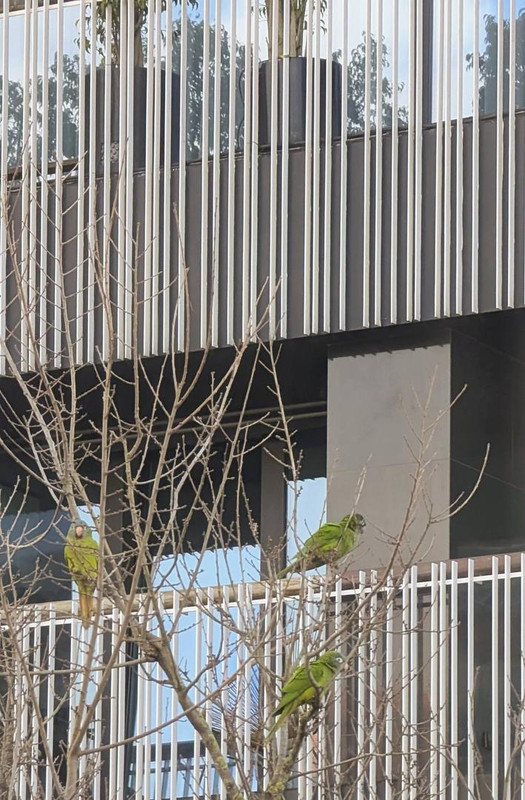 644249640 25624064127293216 6923435290041470179 n