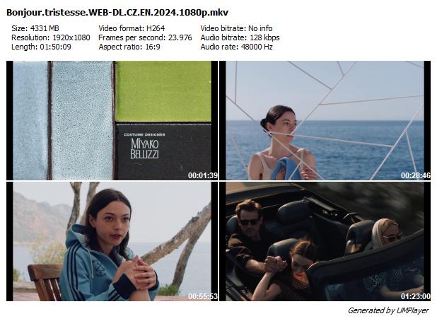 Vítej smutku / Bonjour tristesse (2024)