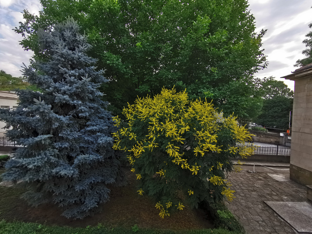 IMG_20220624_080140