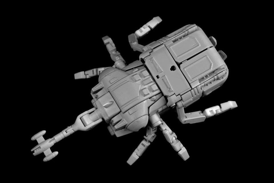 11257774_834506326635778_3721345563960253020_n