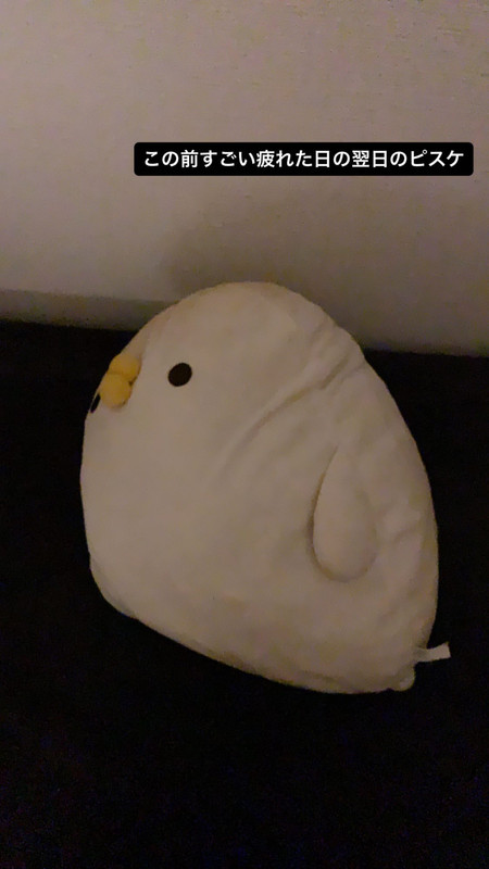 347832057_201059159491140_6873676494922392976_n