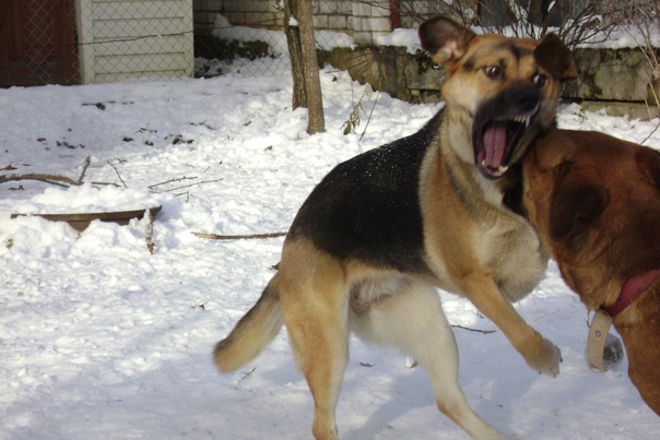 58269265-AAB9-46A2-8B78-0581A26B8DB6