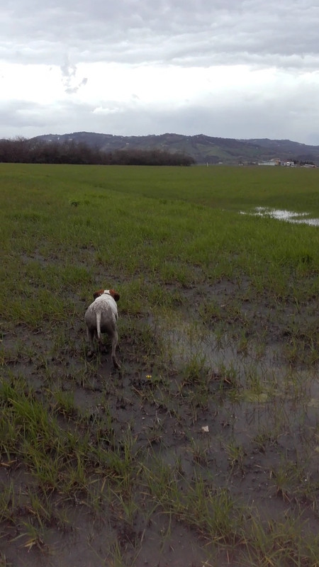 Image-1280_720_20191118T081121