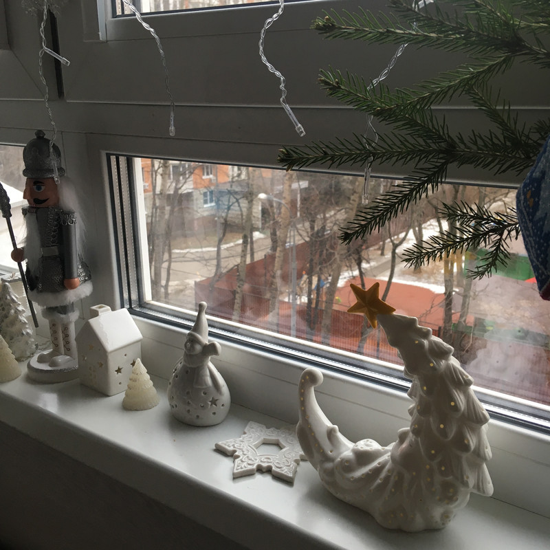 Разное Тимура Фрунзе, 20 Анина и посленовогоднее домашнее 016