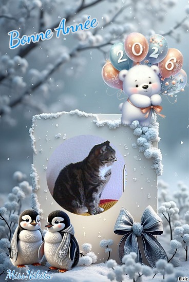 pixiz 30 12 2025 15 18 03