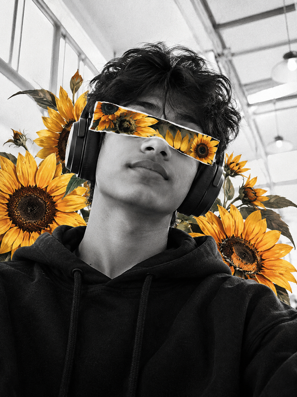 Sunflower Editorial | PromptGet