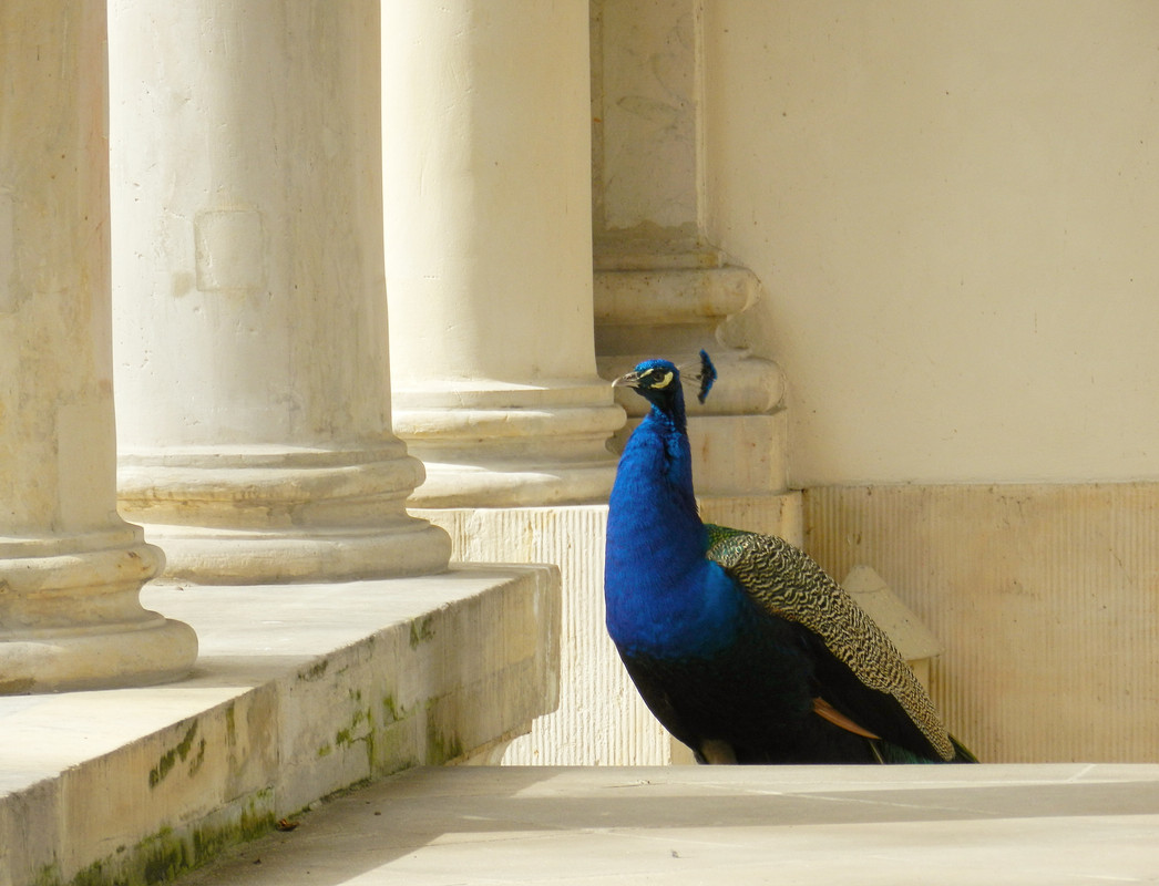 IMG_20170406_011621_472