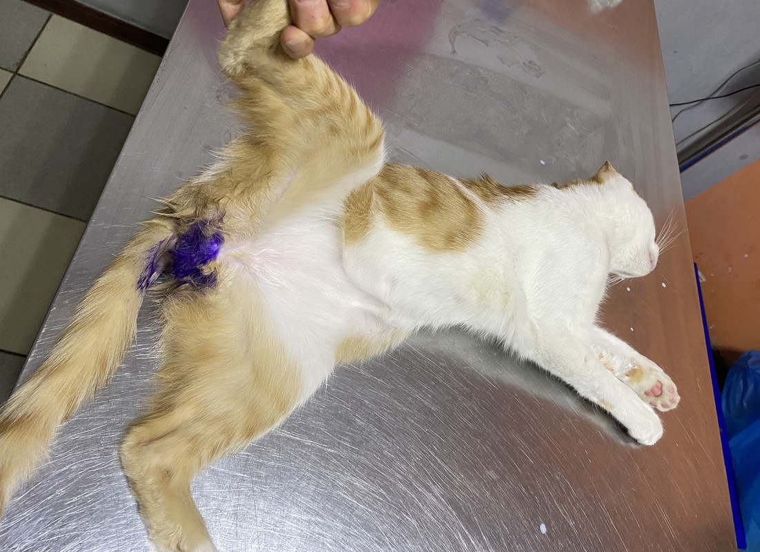 77ABADE9-F00A-4D36-846D-7843D6CA185A