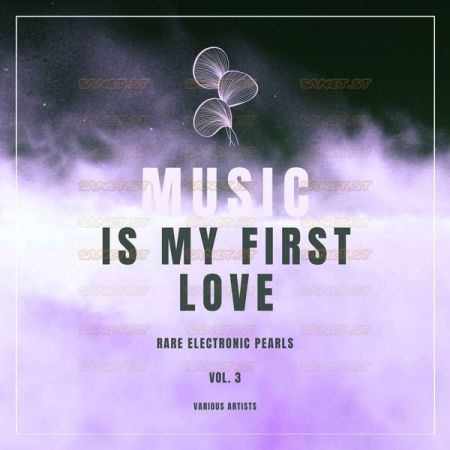 Various Artists   Music Is My First Love (Rare Electronic Pearls) Vol. 3 (2021)