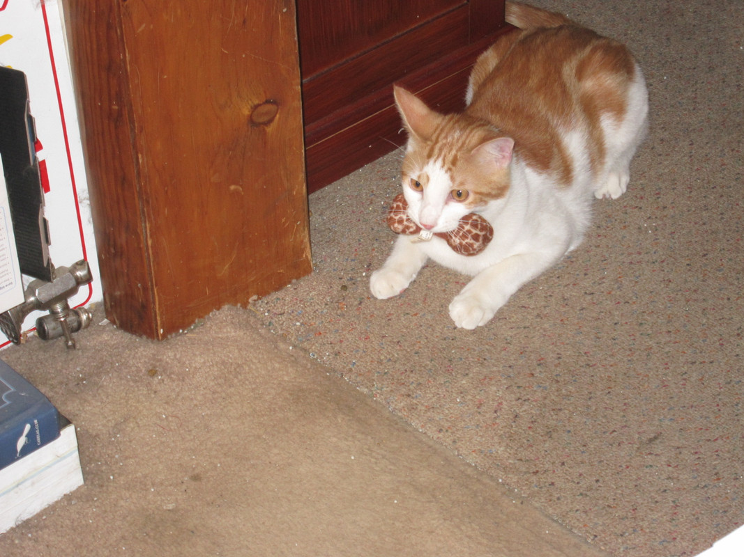 IMG-0124.jpg