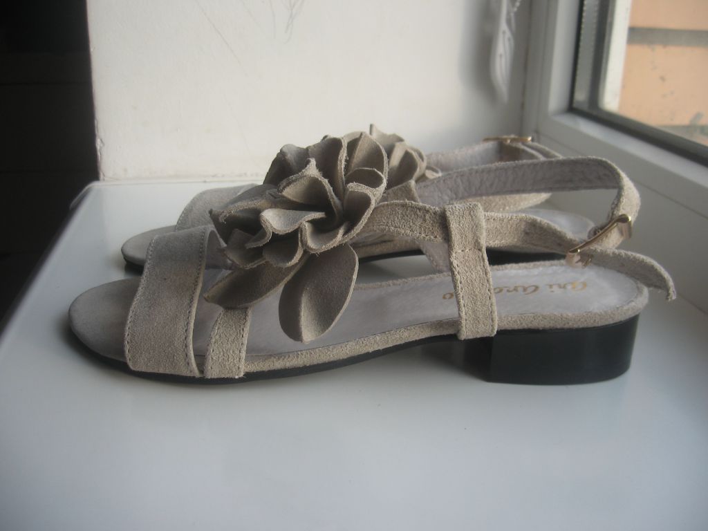 2774166575ee84d3ea15f825dfac3ebc