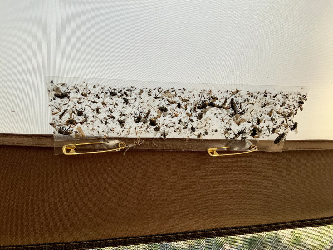 426FAF64-02FC-4E55-95CB-7DA54291F546