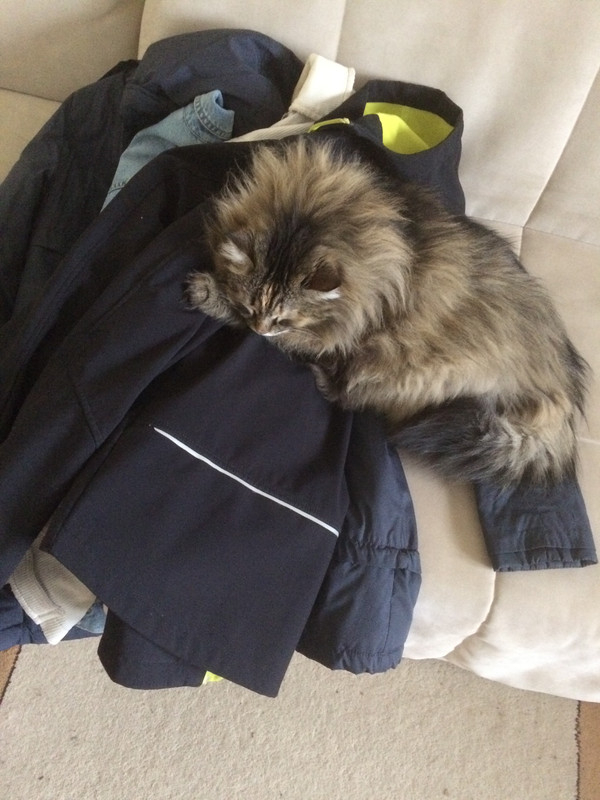 2A3D14DF-36B1-4A0E-87E7-20D949995457