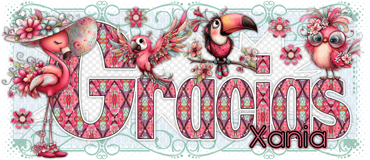Gracias-Tropical-Birds-xania