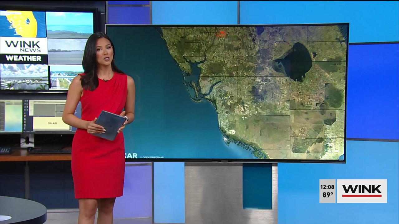 06.01 - 17.00.00 - WINK Noon News. Local news, sports and weather.ts_snapshot_11.25_[2021.06.01_18.3
