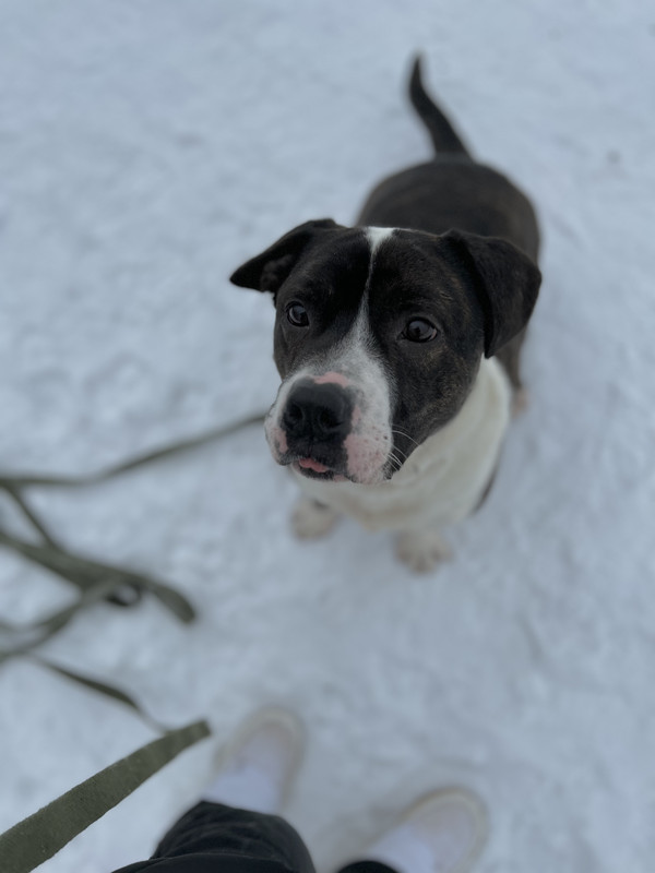 3D9942CA-C755-47D7-8D89-0EC36C1F4922