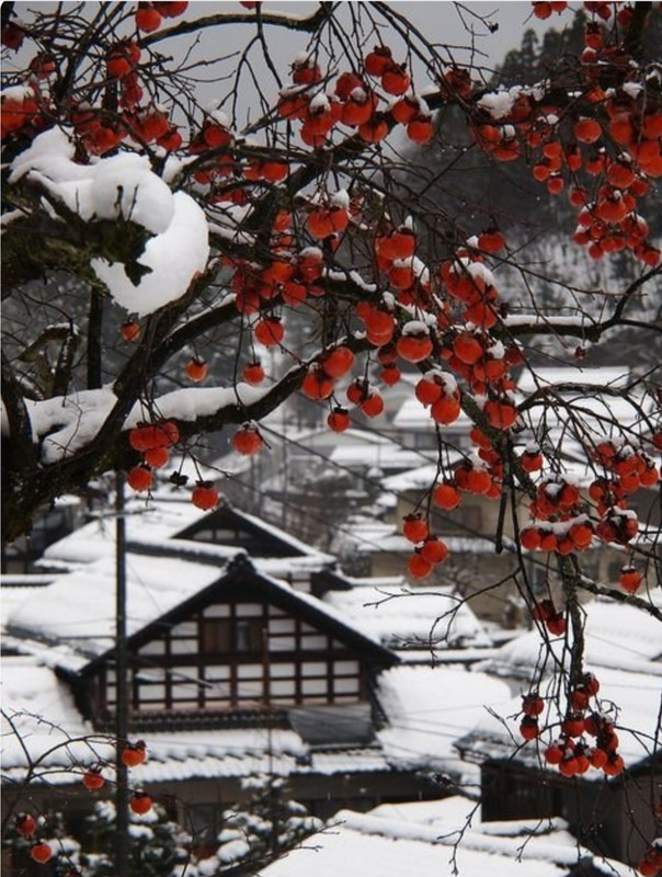 Screenshot_20231023_213402_Chrome