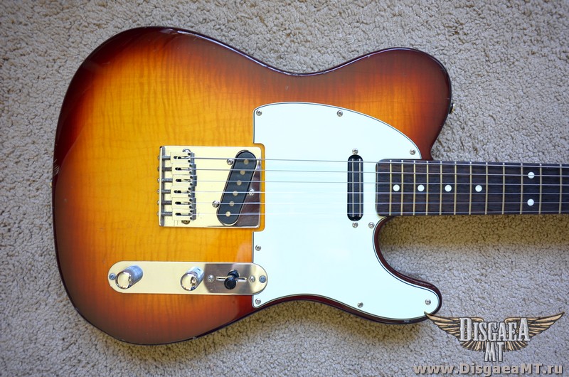 Fender_Telecaster_Fotoflame_60s_RI_cbck_002