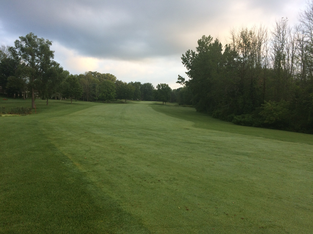 1C876CB9-9C1D-471C-A030-3D655665CE04