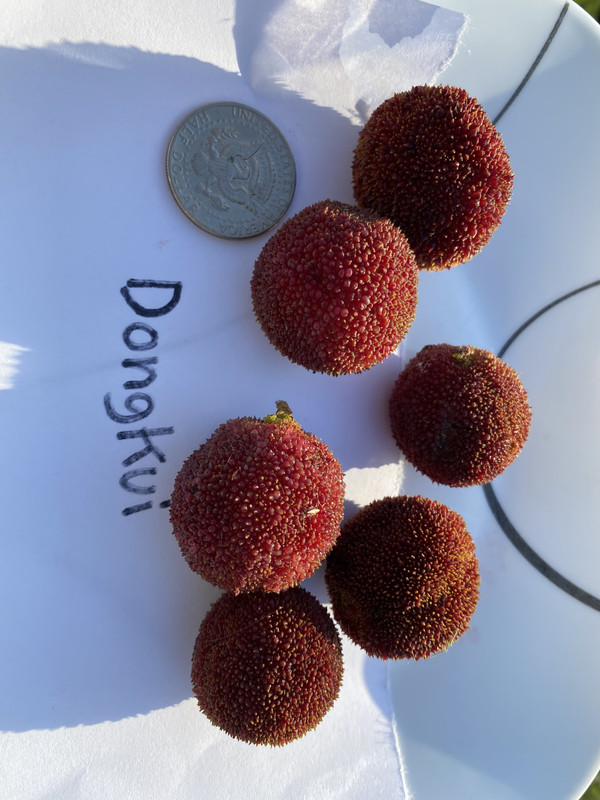 D93F4FC0-98B7-4489-BC32-152FD31B0136