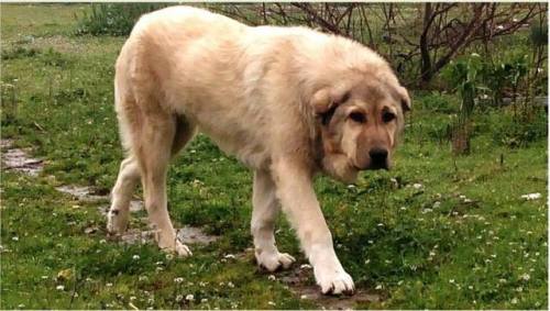 tumblr_pyozi2g5SJ1w9hwqzo1_500