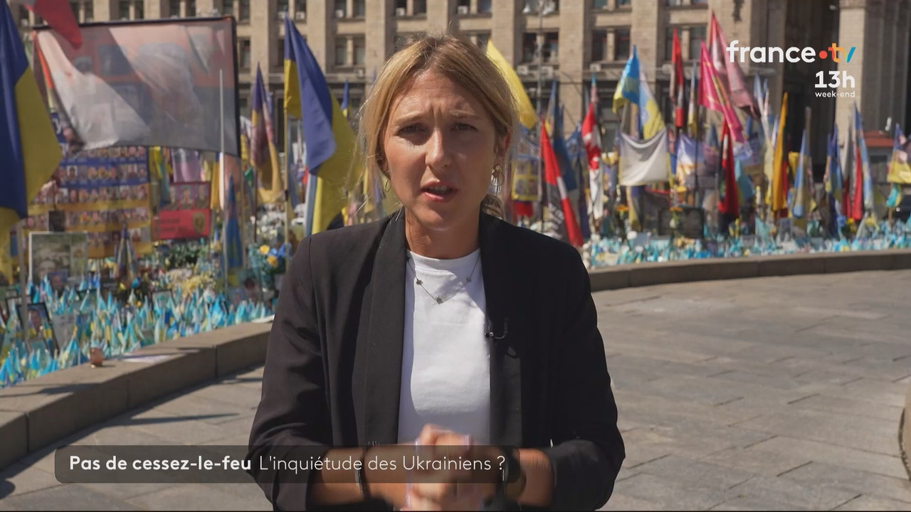 Journal 13h00 (France 2)_2025_08_16_11_55_81.ts_snapshot_09.48.531