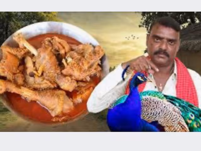peacoock-curry-video-2024-08-eaf3c8fc291d7be0cffe5c62123a7461