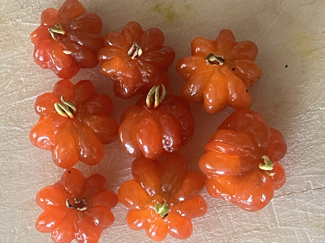 CF6E23C8-C923-4813-BE2F-7FDA9F36D437