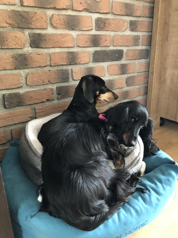 [Image: IMG-2434.jpg]