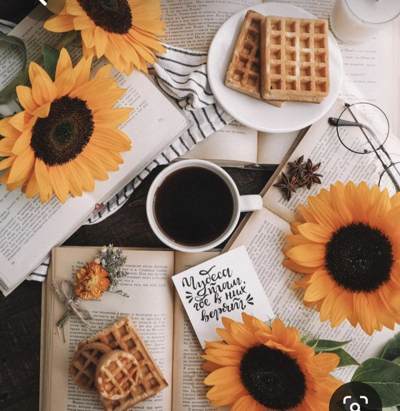 Screenshot_20230418_214407_Pinterest