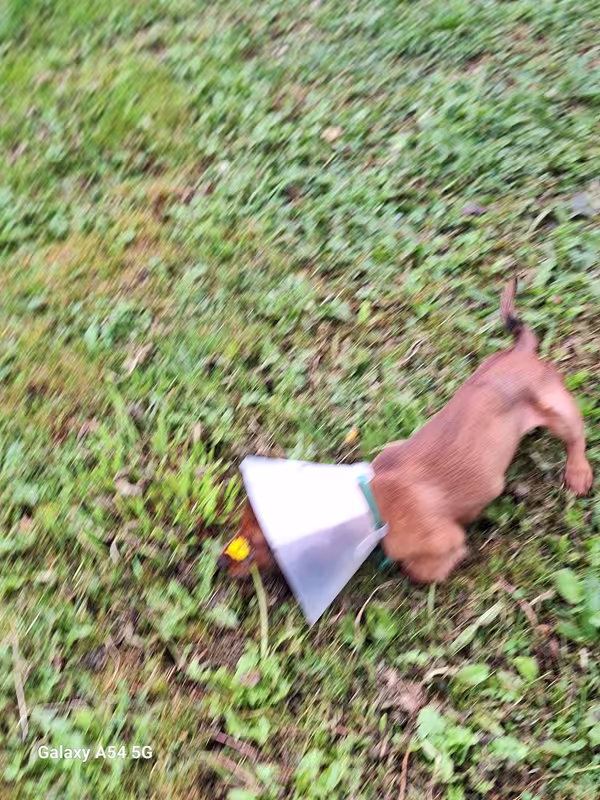 [Image: 20240922-102636.avif]