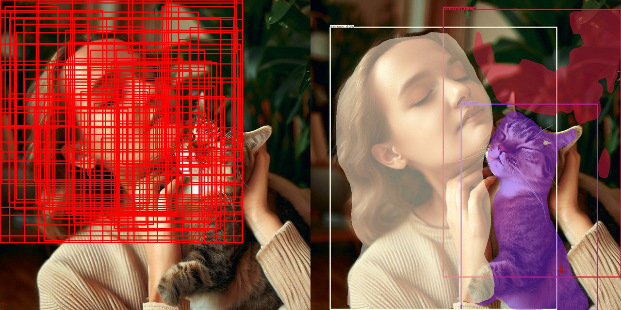cat&person