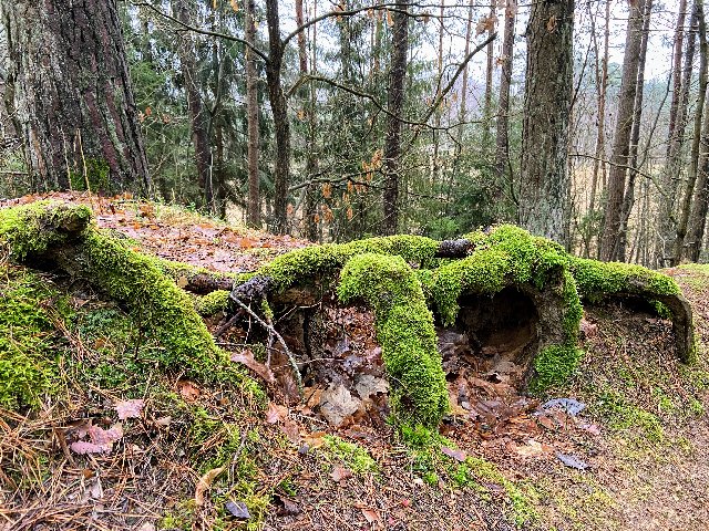 87-C11-C57-8855-434-B-A6-A6-69-D5-ECDD2-