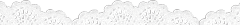 White lace divider. White lace divider.