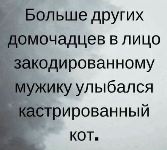 [Изображение: photo-2025-10-13-11-45-23.jpg]