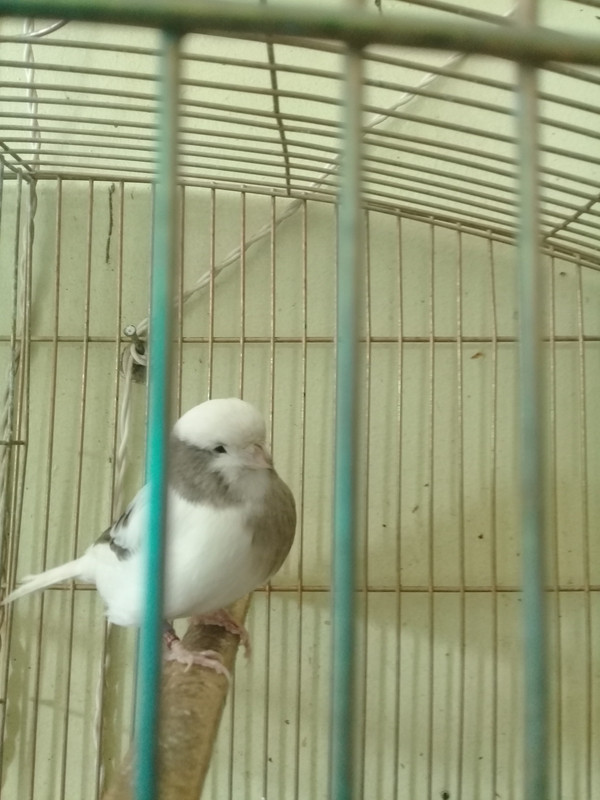 ٢?١٨١?١٥_١٥٥٦٣٦