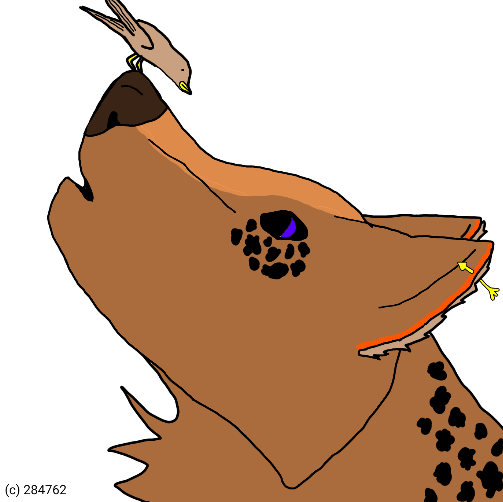 BB5B47A1-B2E1-4735-811B-774BA7BF6139