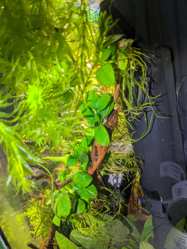 PXL_20231003_131806612