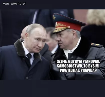 [Obrazek: 0c980c691df2bce31bef454647261249.webp]