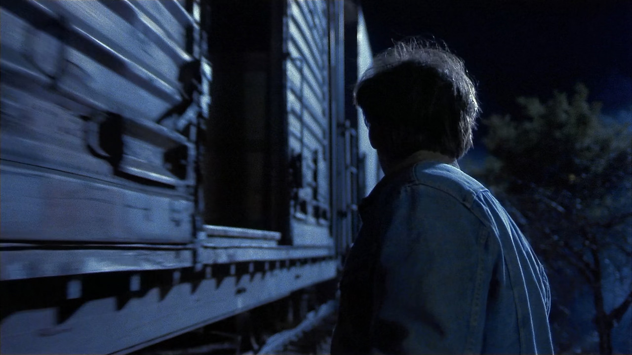 Red Rock West 1993 (1080p x265 10bit Tigole).mkv