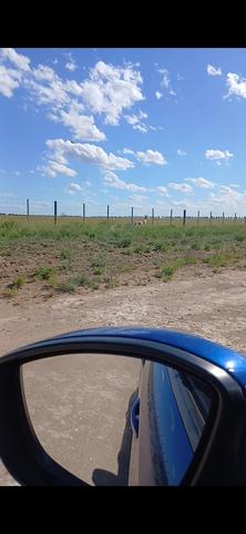 Screenshot 20251110 115949 Gallery