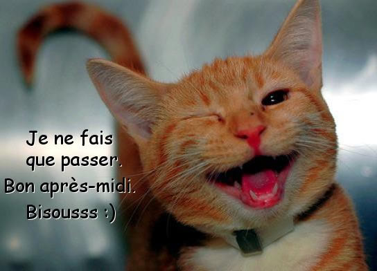 jeudi 7 mars APRES-MIDI-FAIT-QUE-PASSER