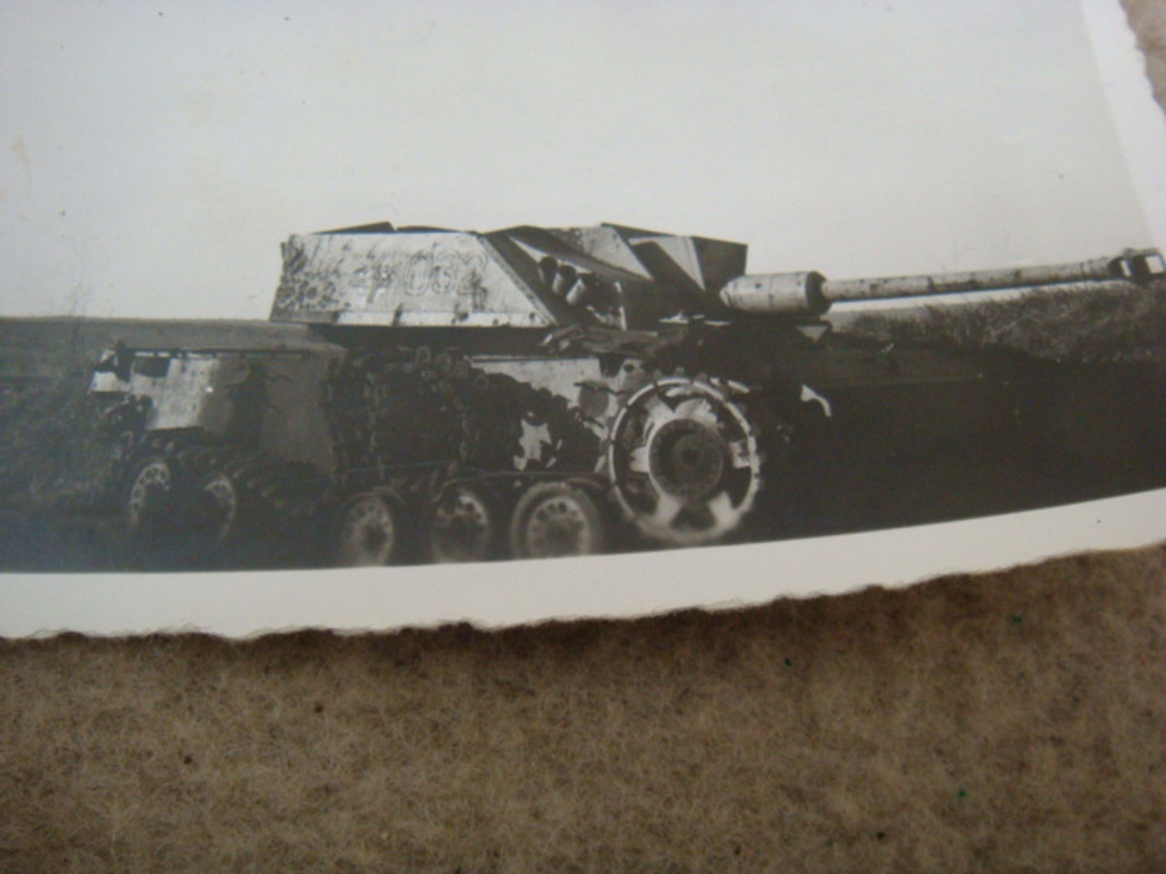 GI PHOTOS OF GERMAN TANKS FROM ANZIO BATTLE (4)